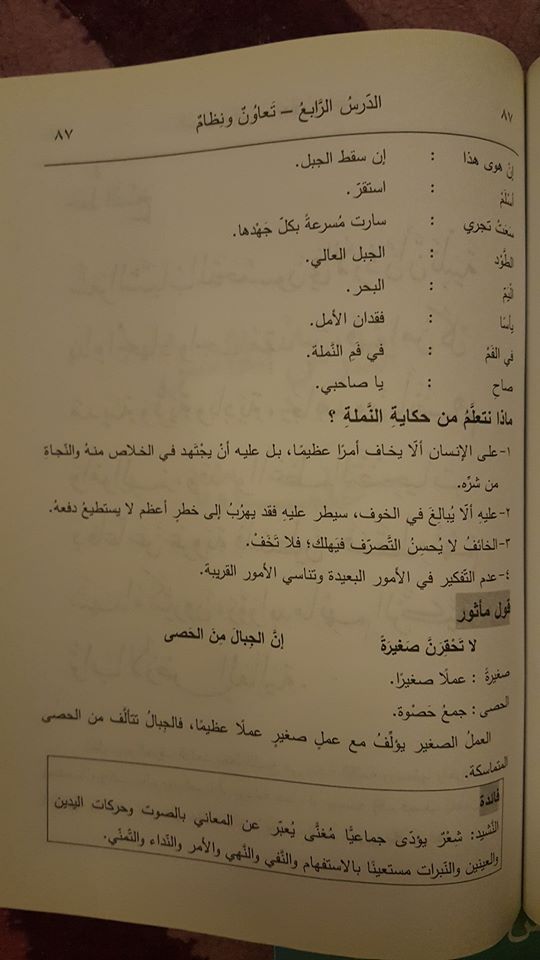 MzU2MTI4MQ838387 بالصور شرح قصيدة كانت النمله تمشي للشاعر احمد شوقي الدرس الرابع تعاون ونظام للصف الرابع الفصل الاول 2017